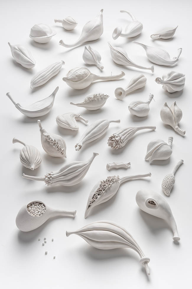 Sculptures by Sarah Rayner. "Gynoecium collection", Hand carved porcelain with terra sigillata, 6cm x 15cm