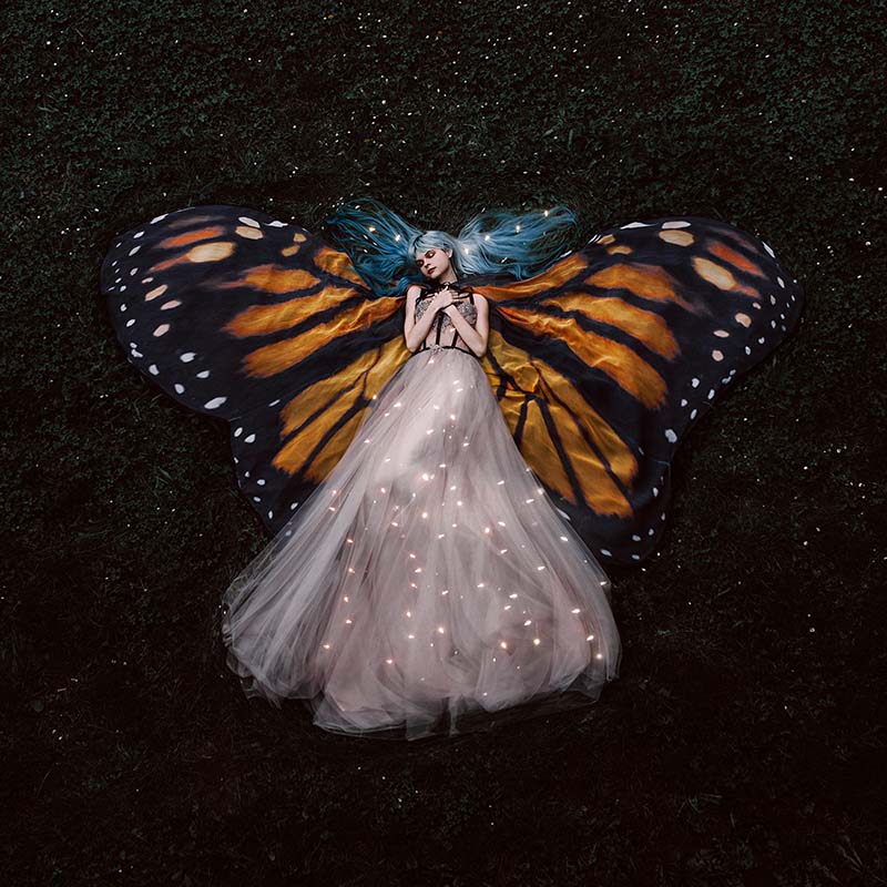 Photograph by Jovana Rikalo. "Butterfly" [Digital Photography, Canon 5d mark IV, sigma 35 mm f 1.4 lens]