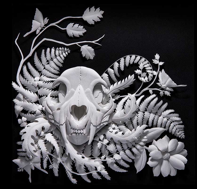 Paper Sculpture by Marisa Argón Ware. "Moonshadow", Paper sculpture, 18" x 24" x 4"