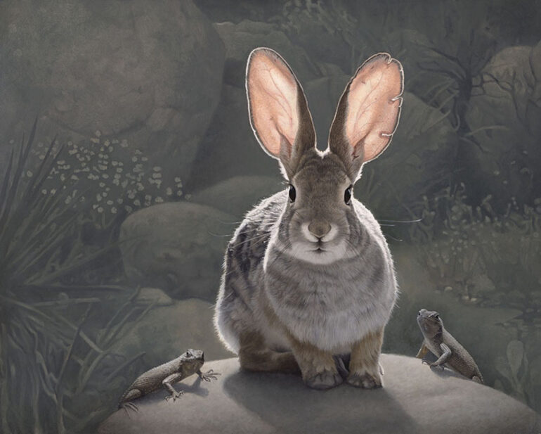 3770_Susan McDonnell-painting-rabbit-realism-900