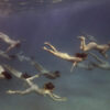 4787_Tamara-Dean-photography-underwater
