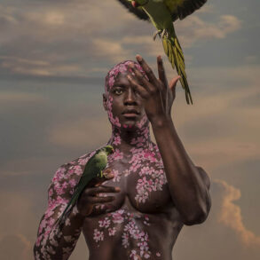 4826_Josh Brandao-photography-figure-birds-fantasy