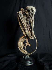5891-Keisuke-Yoneyama-sculpture-resin-skeleton-900