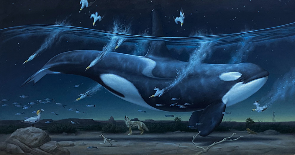 Phillip Singer - surreal killer whale painting - Beautiful Bizarre Art Prize