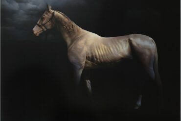 Roland-Mikhail-horse