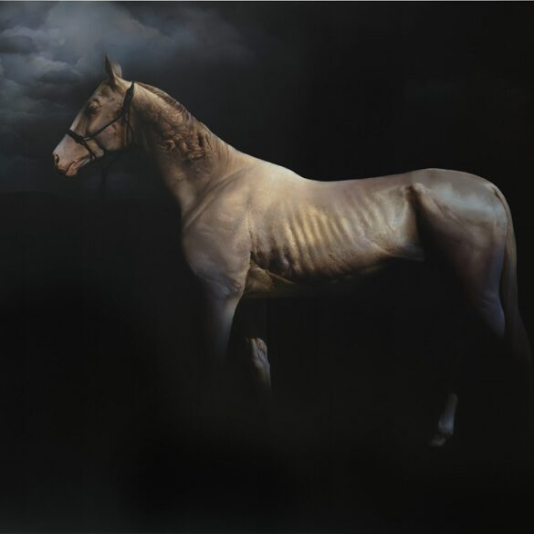 Roland-Mikhail-horse