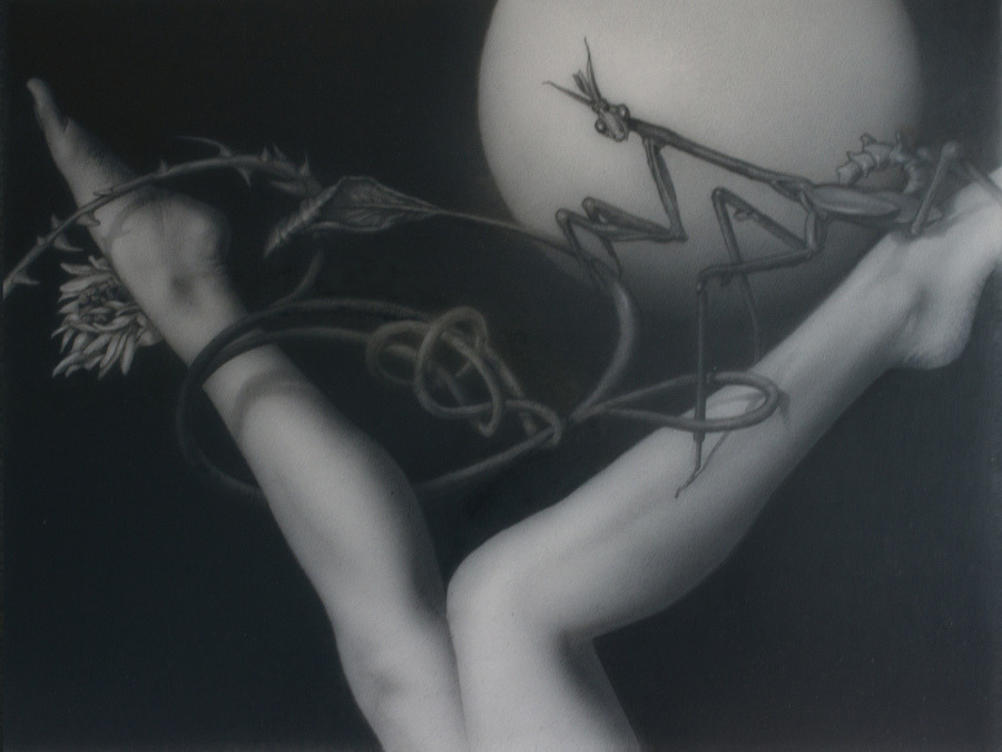 402_Lisa Rickard