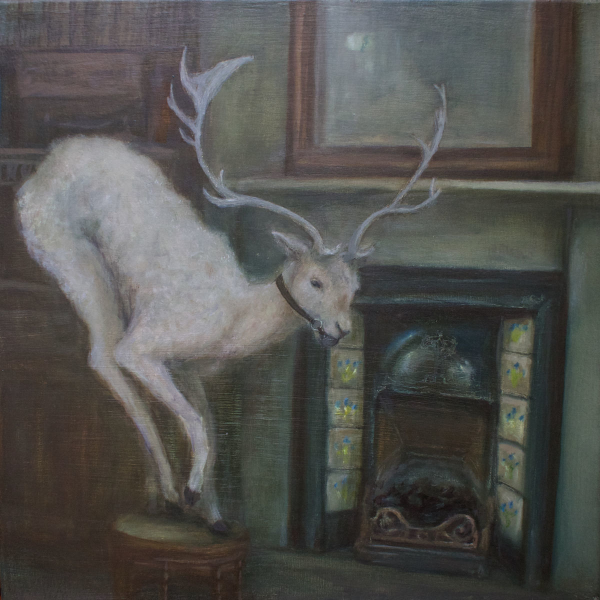 4954-Dottie-may-Aston