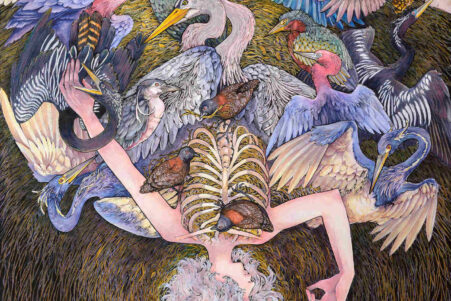 5264_Corvid-Snare_crop