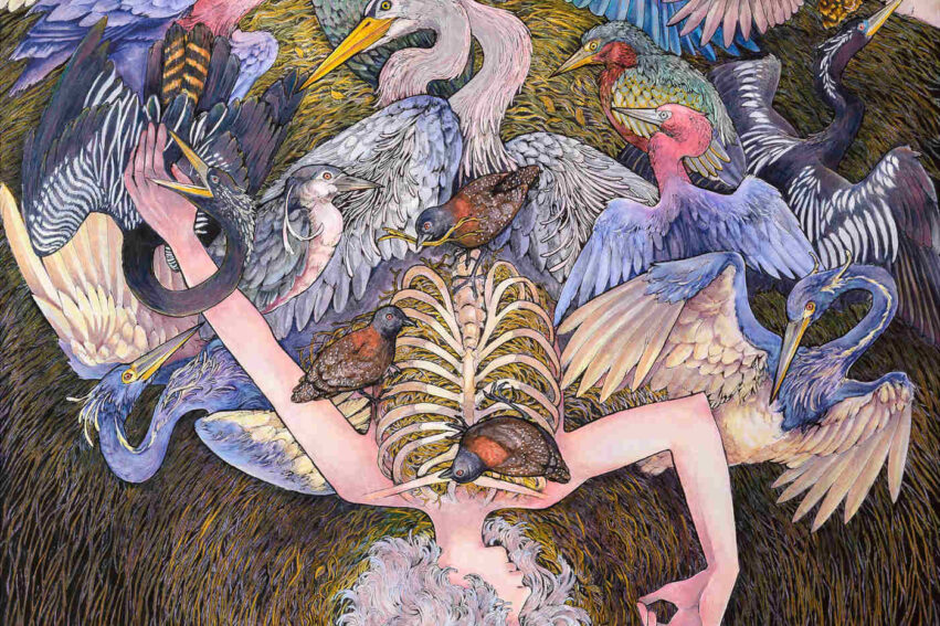 5264_Corvid-Snare_crop