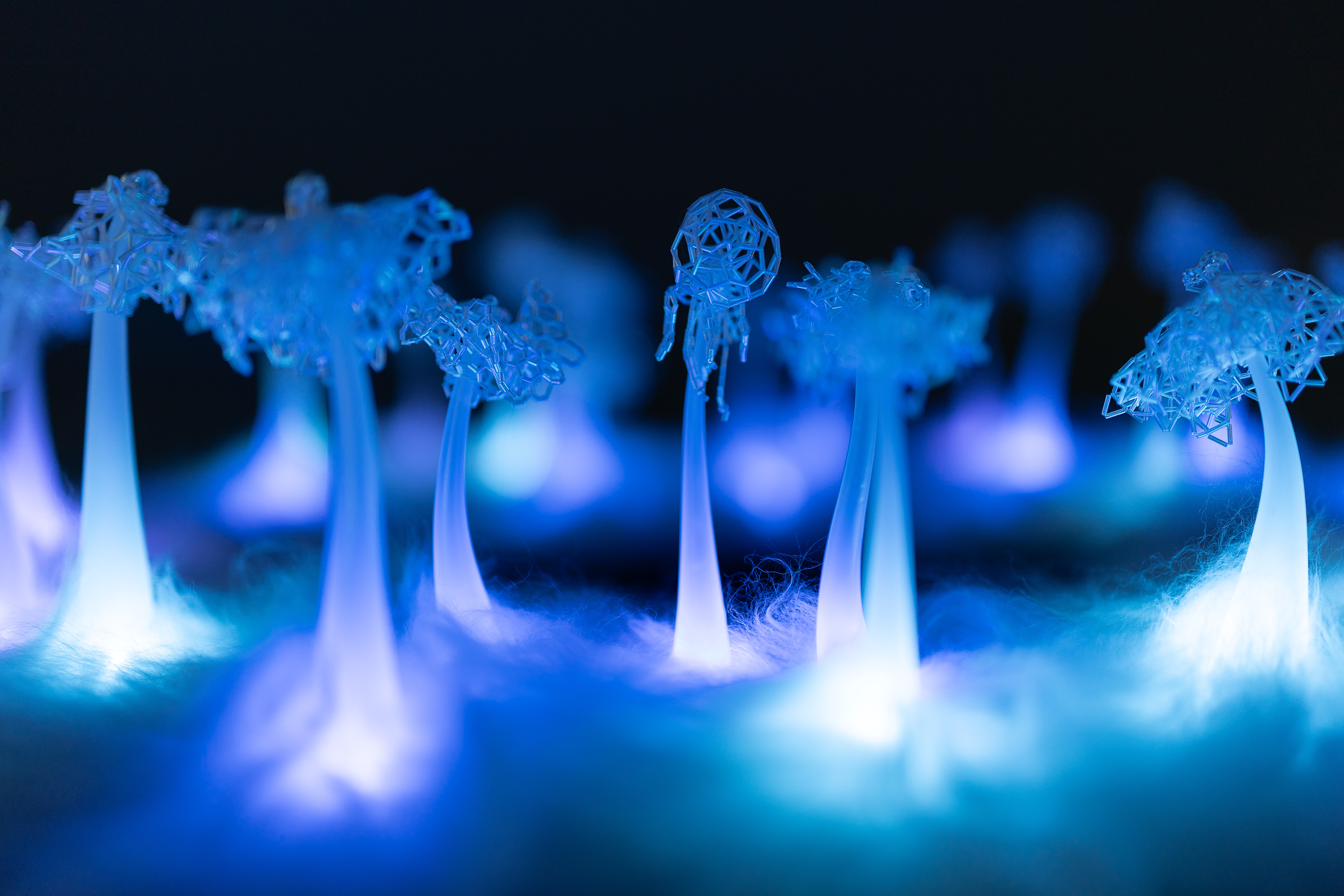 Symbiotic Array