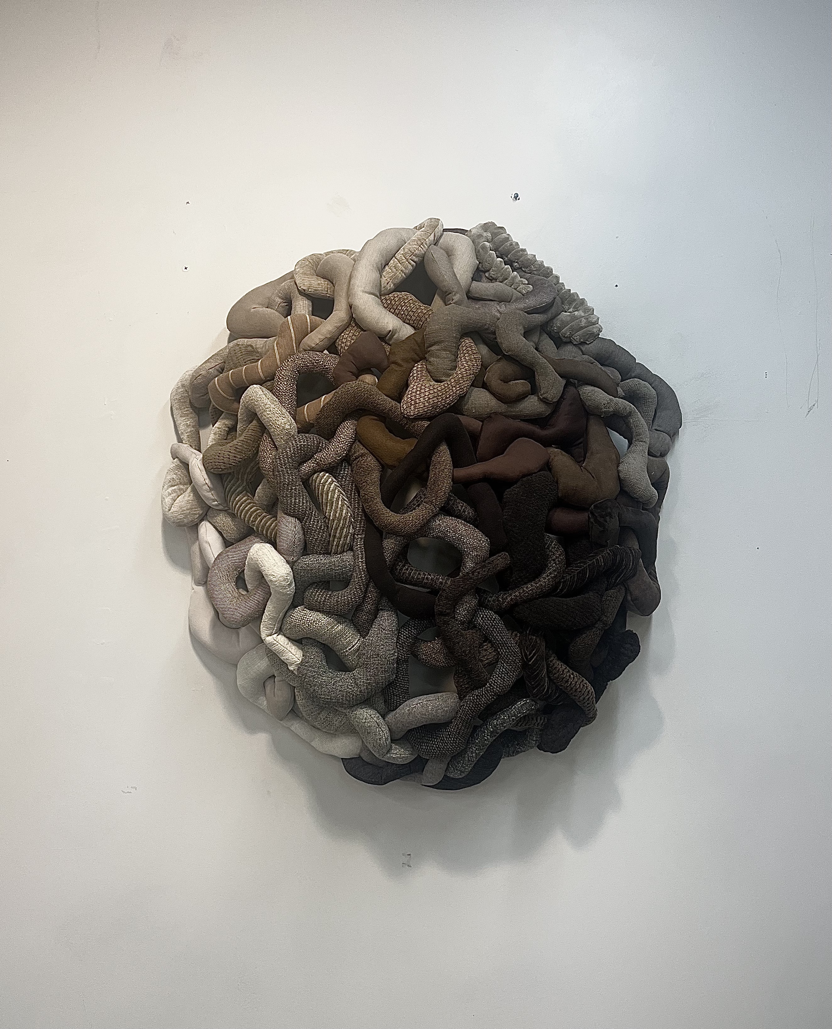 Nest