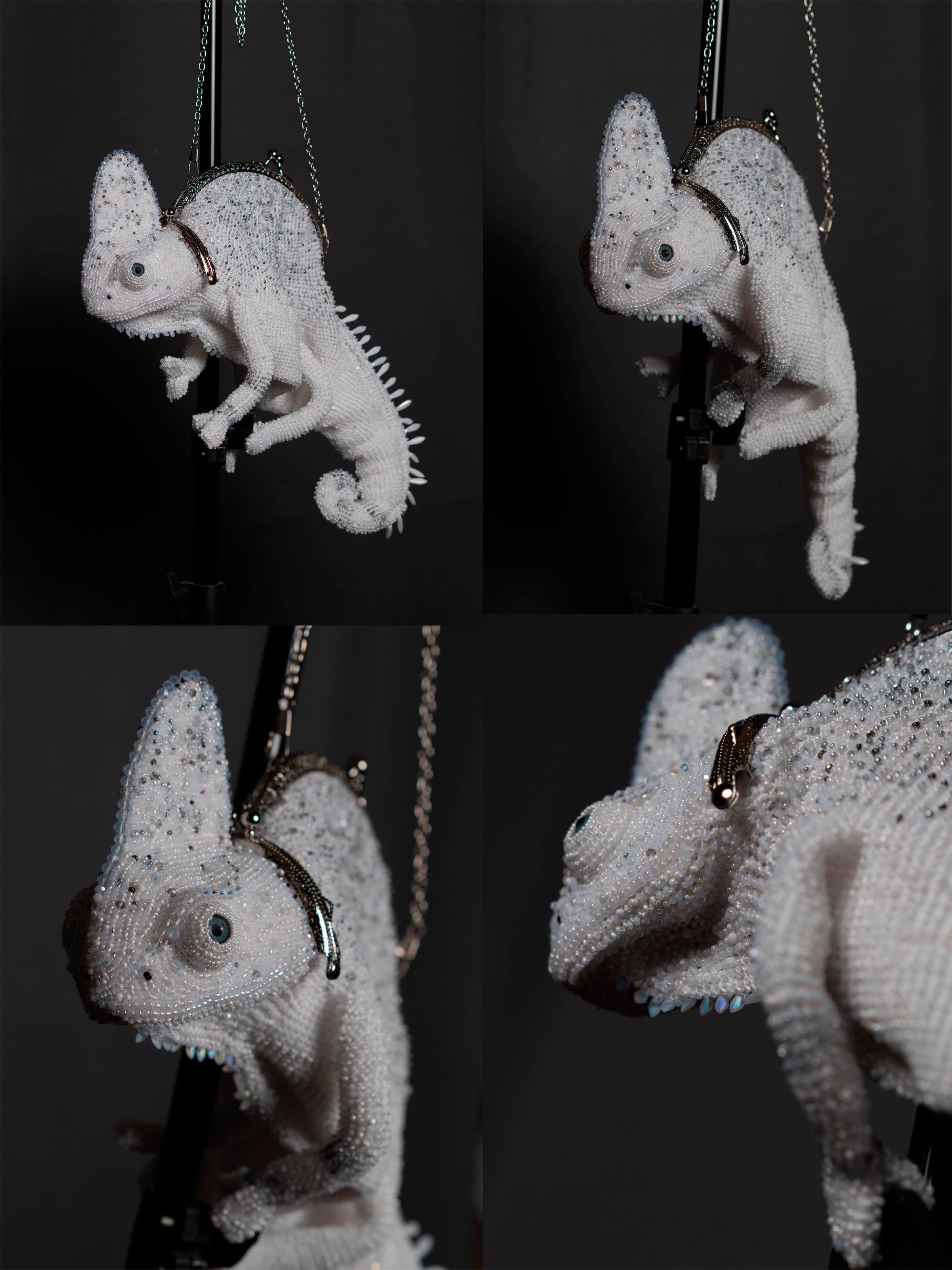 chameleon bag