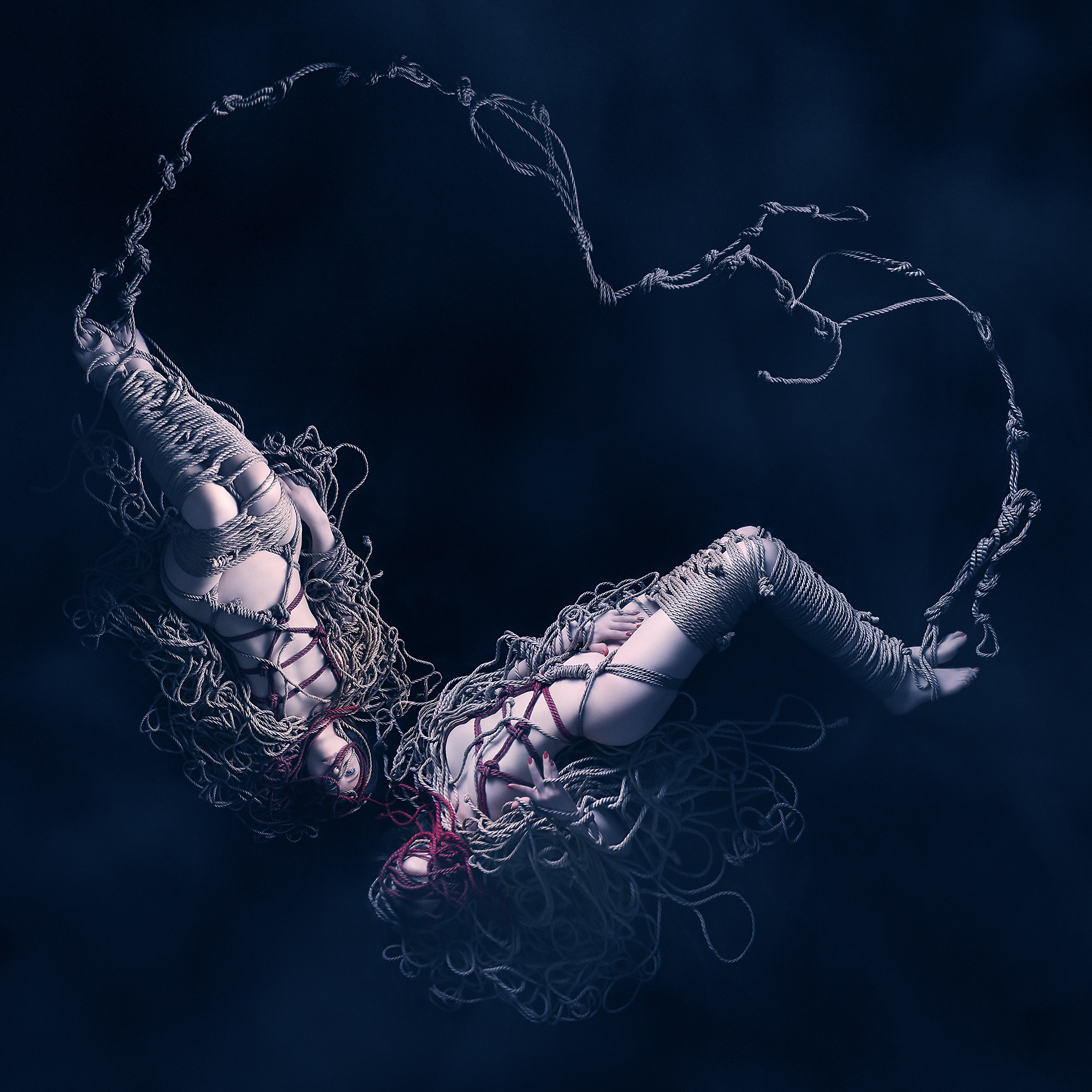 Love, Tied in Gordian Knots
