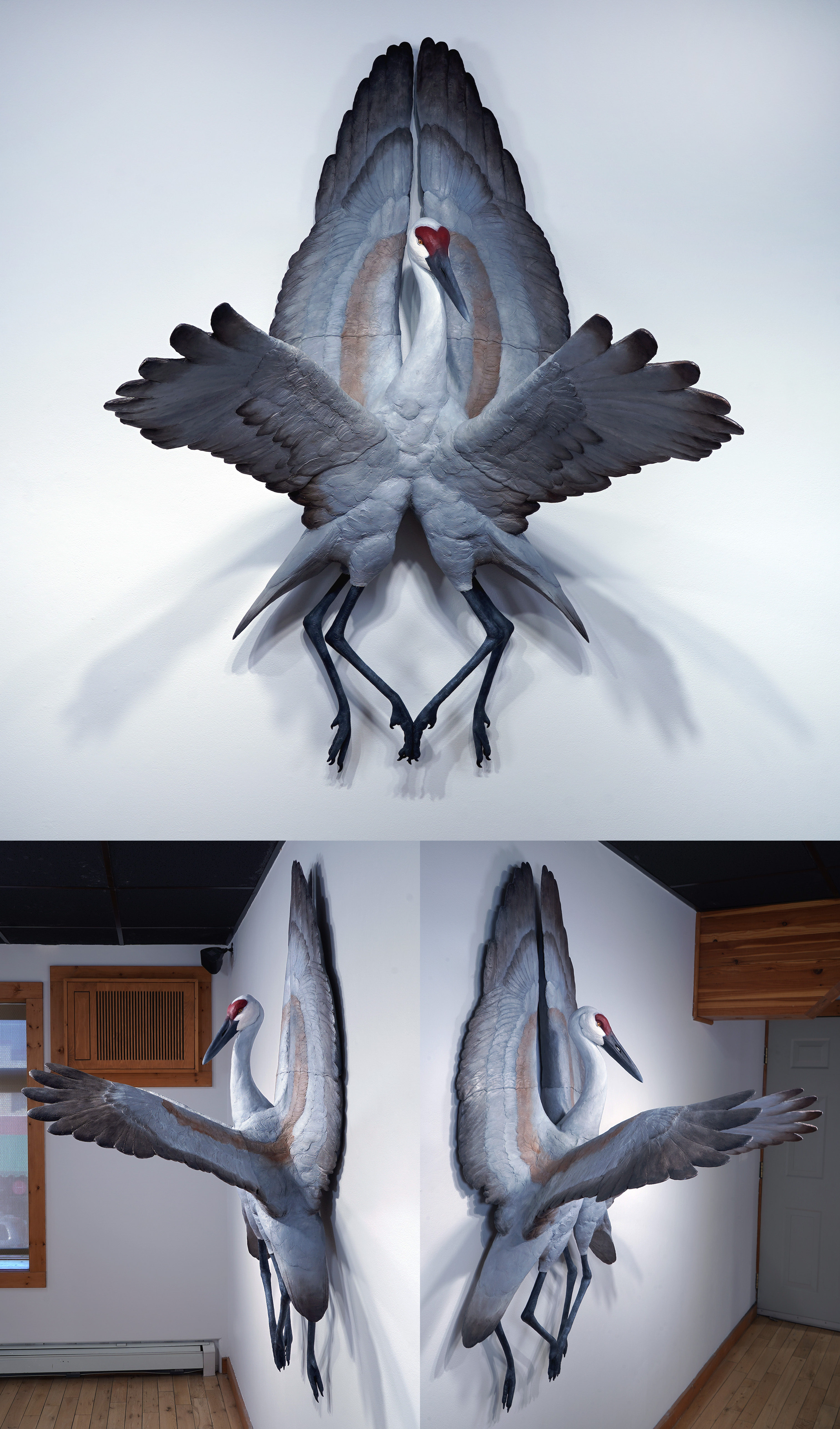SERAPHIM: Sandhill Cranes