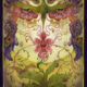 Sam Guay - The Orchid's Dream