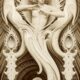 A. Andrew Gonzalez - The Creatrix