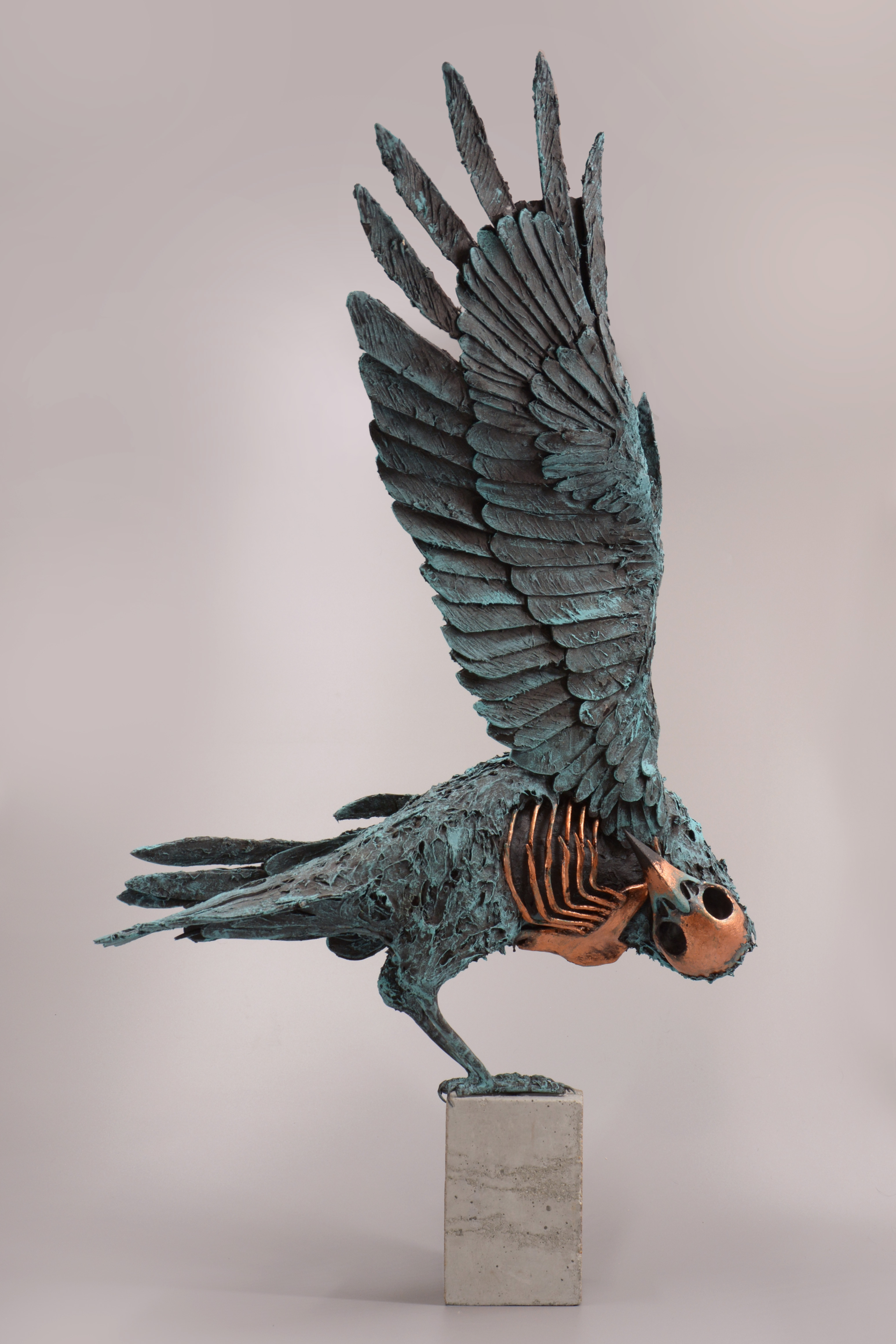 Rook Osseus Pestiferus